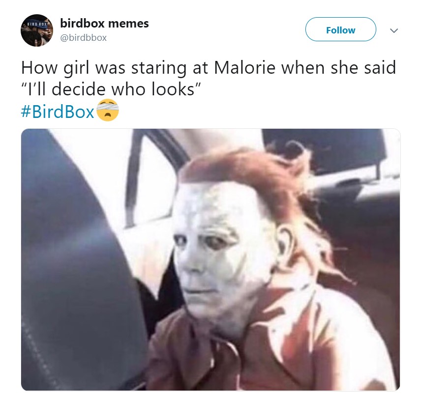 Best Bird Box Memes