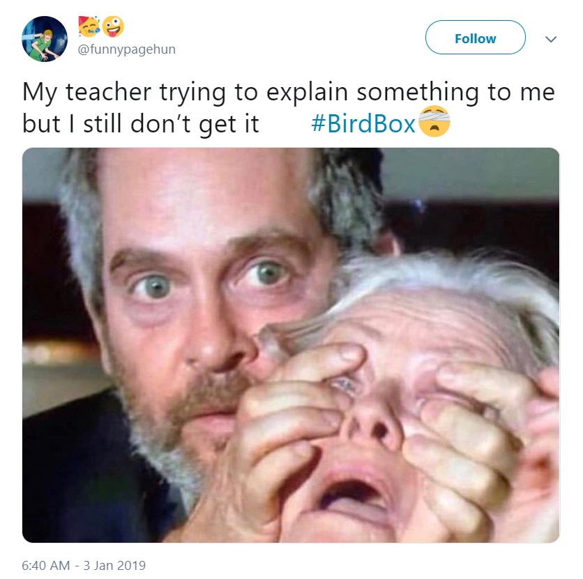 Best Bird Box Memes
