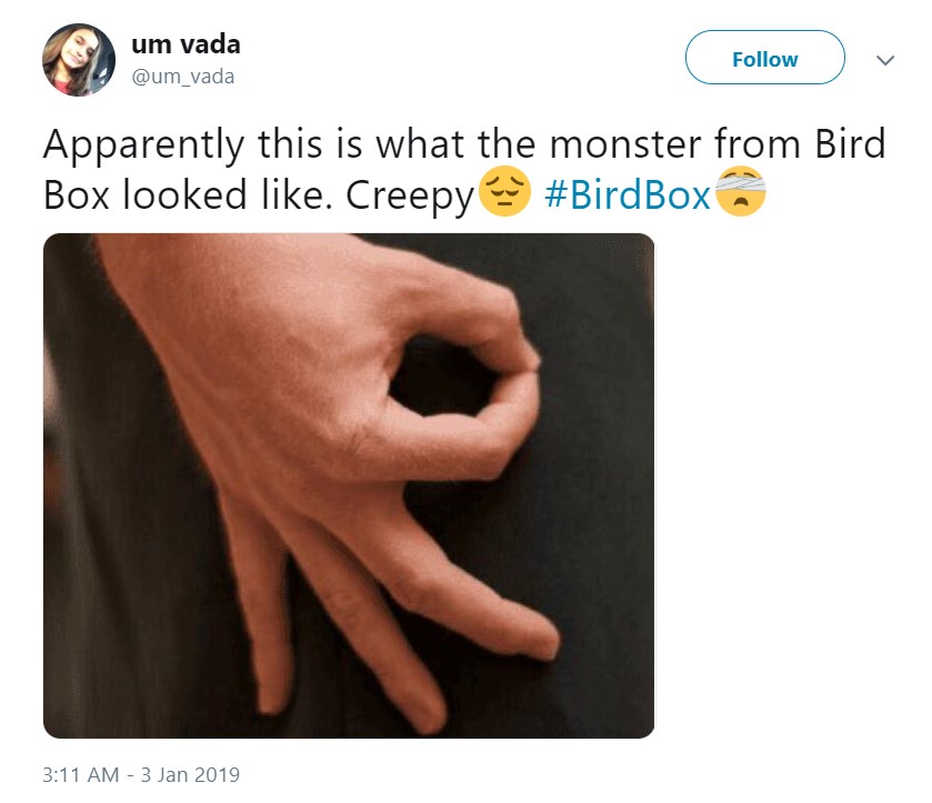 Best Bird Box Memes