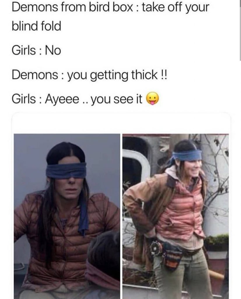 Best Bird Box Memes