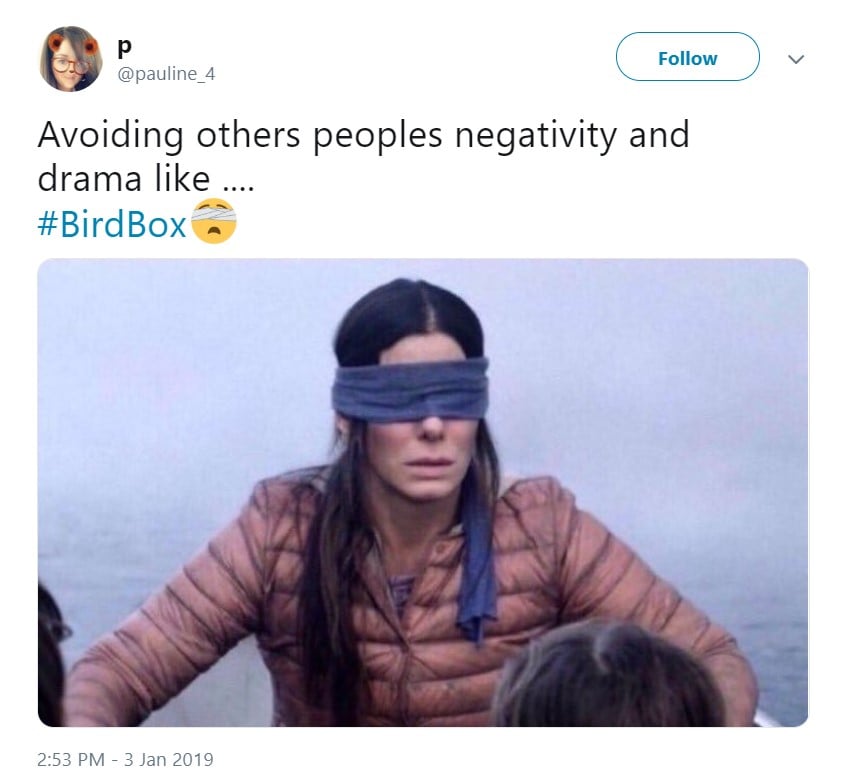 ≡ Best Bird Box Memes Brain Berries