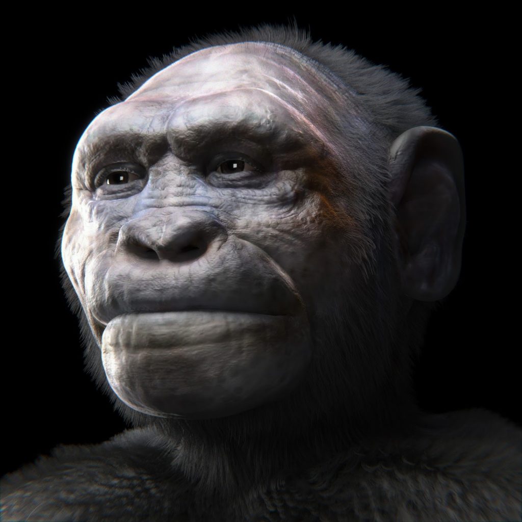 Top 7 Extinct Human Species