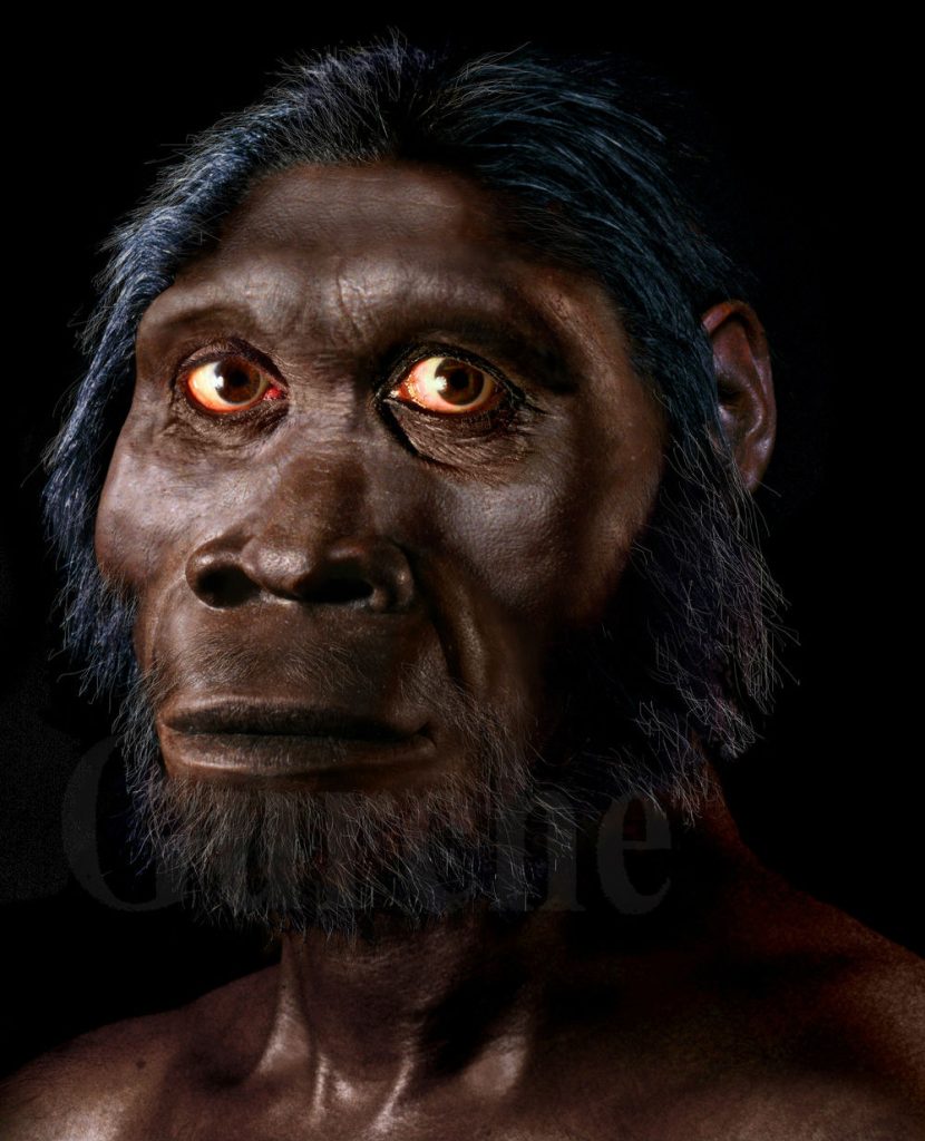 Top 7 Extinct Human Species