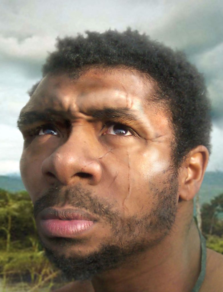 Top 7 Extinct Human Species