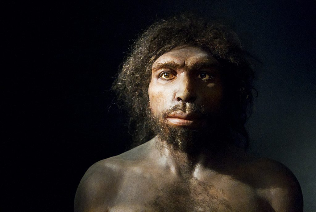 Top 7 Extinct Human Species