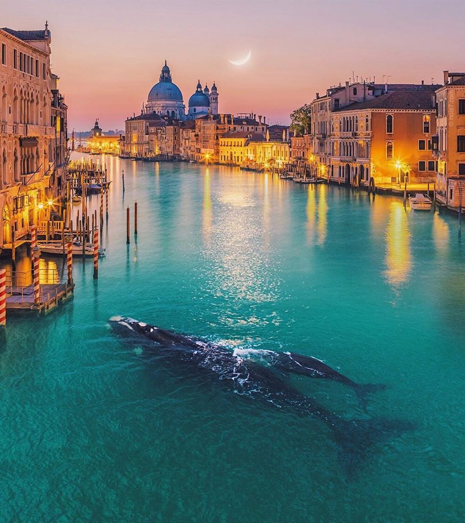 Artist Transforms Photos of Nature Into Magical Masterpieces