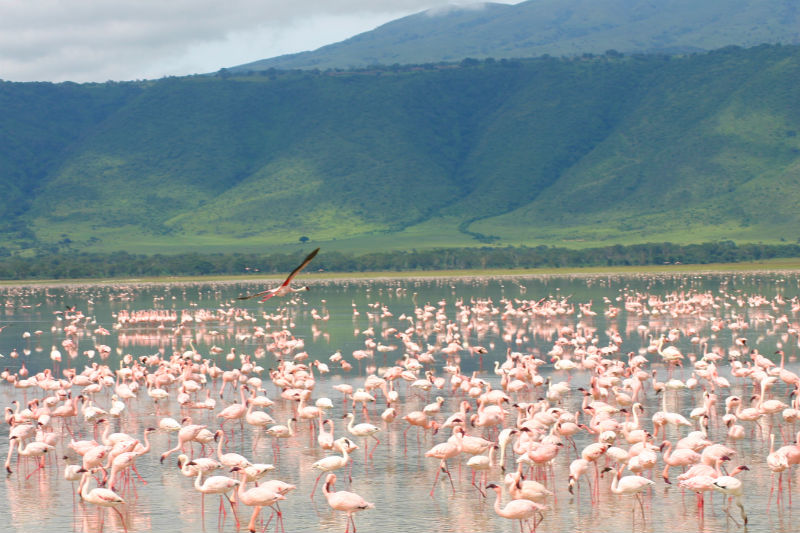 9 Most Beautiful Crater Lakes In The World