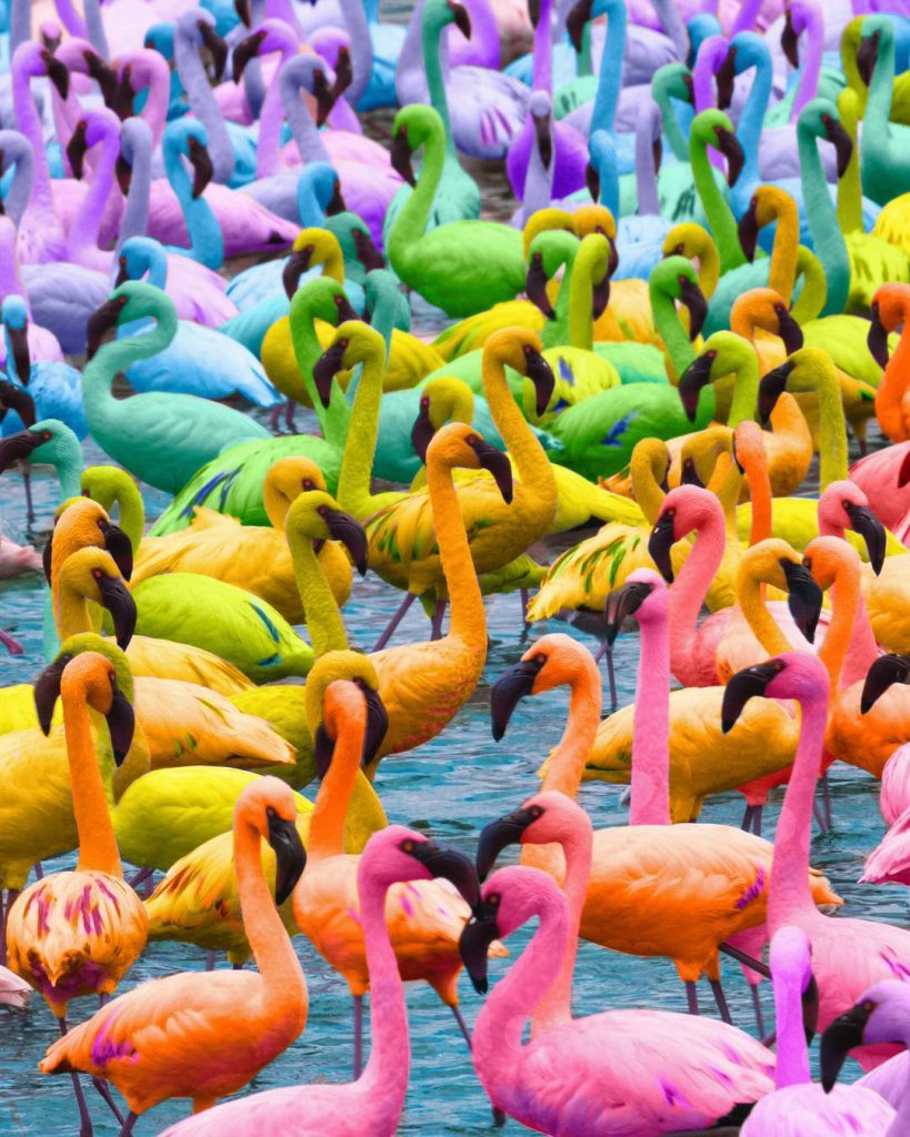 Stunning Rainbow Photo Manipulations by Ramzy