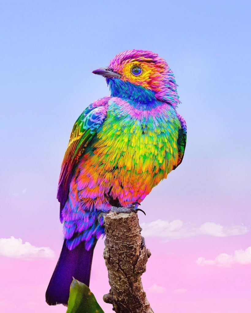 Stunning Rainbow Photo Manipulations by Ramzy