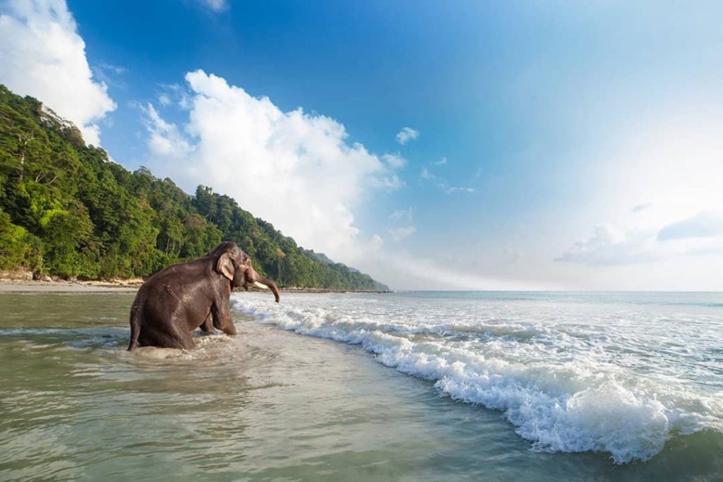 9 Breathtaking Places You Should See In India Before You Die
