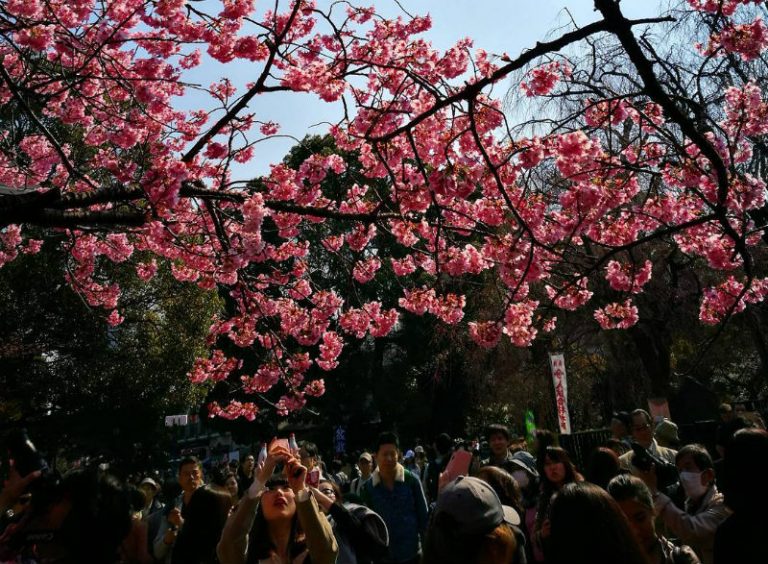 6 Most Stunning Spring Destinations in the World