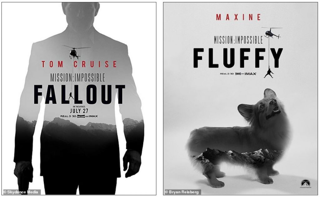 Who Ordered a Fluffy Corgi In Oscar Movie Posters?