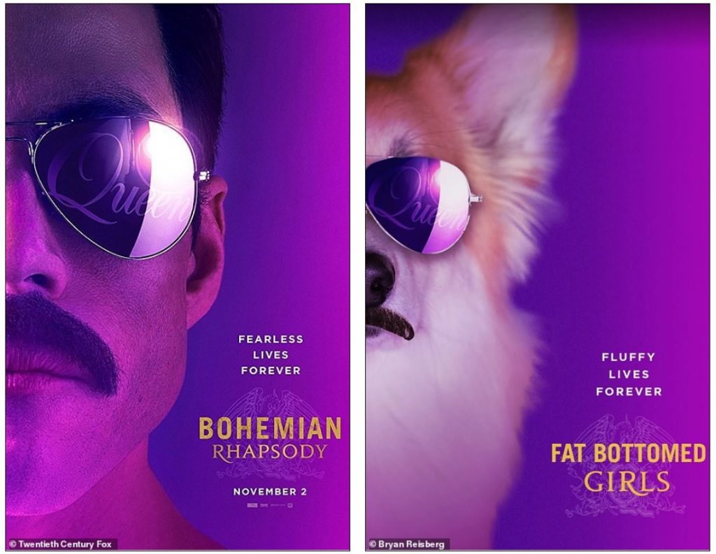 Who Ordered a Fluffy Corgi In Oscar Movie Posters?