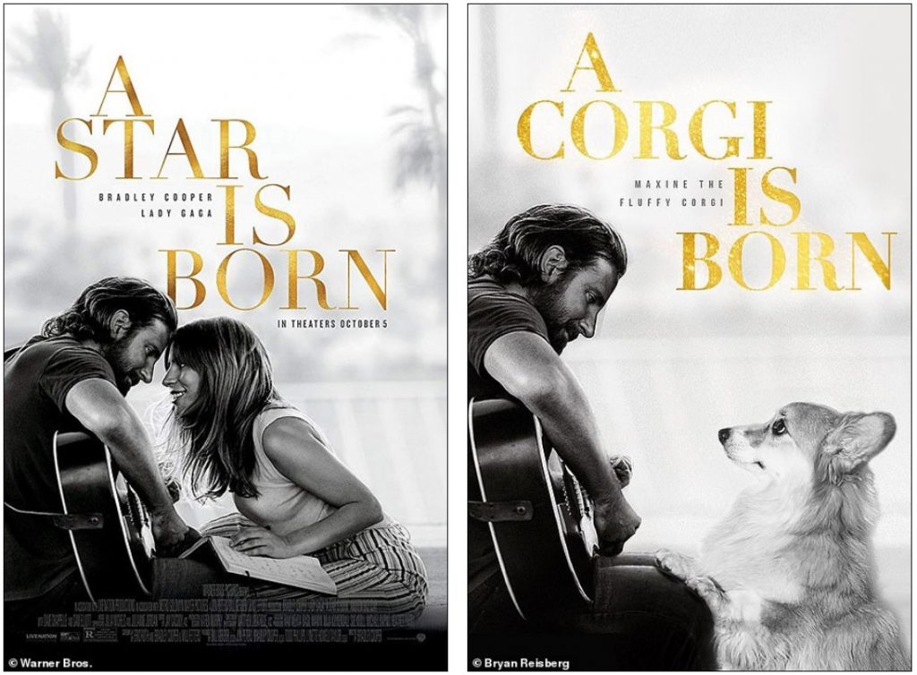 Who Ordered a Fluffy Corgi In Oscar Movie Posters?