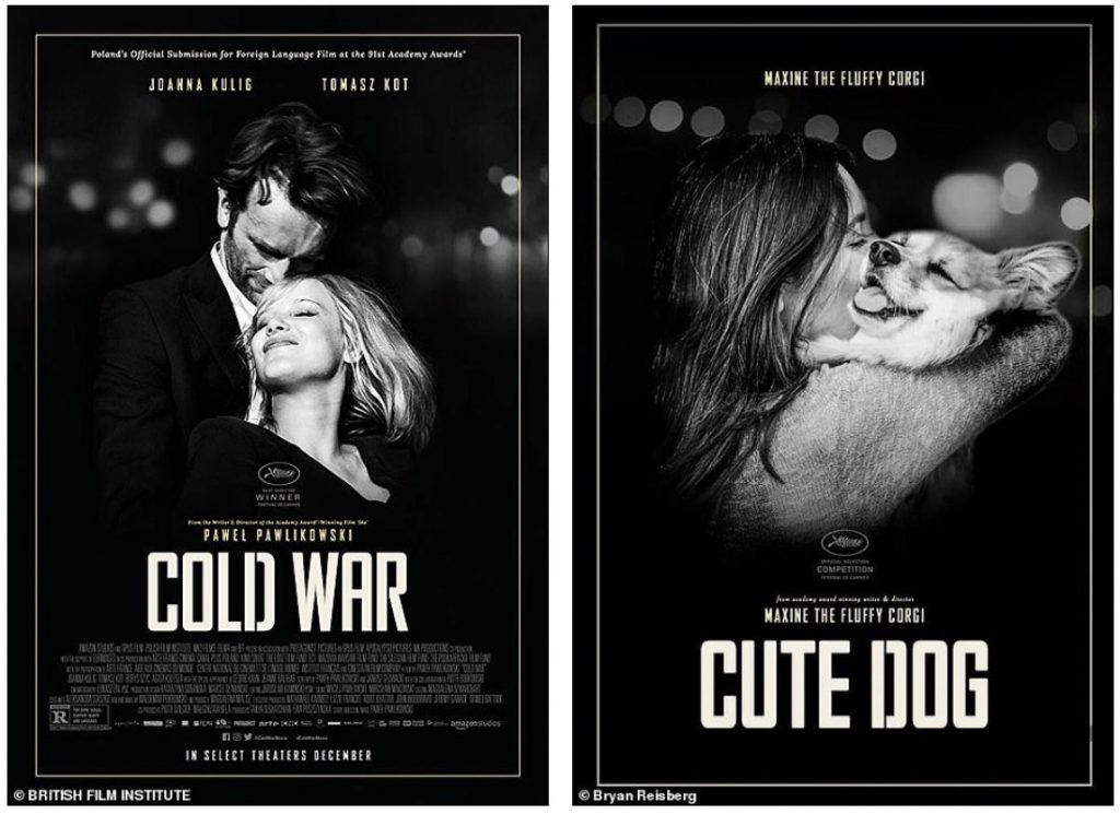 Who Ordered a Fluffy Corgi In Oscar Movie Posters?