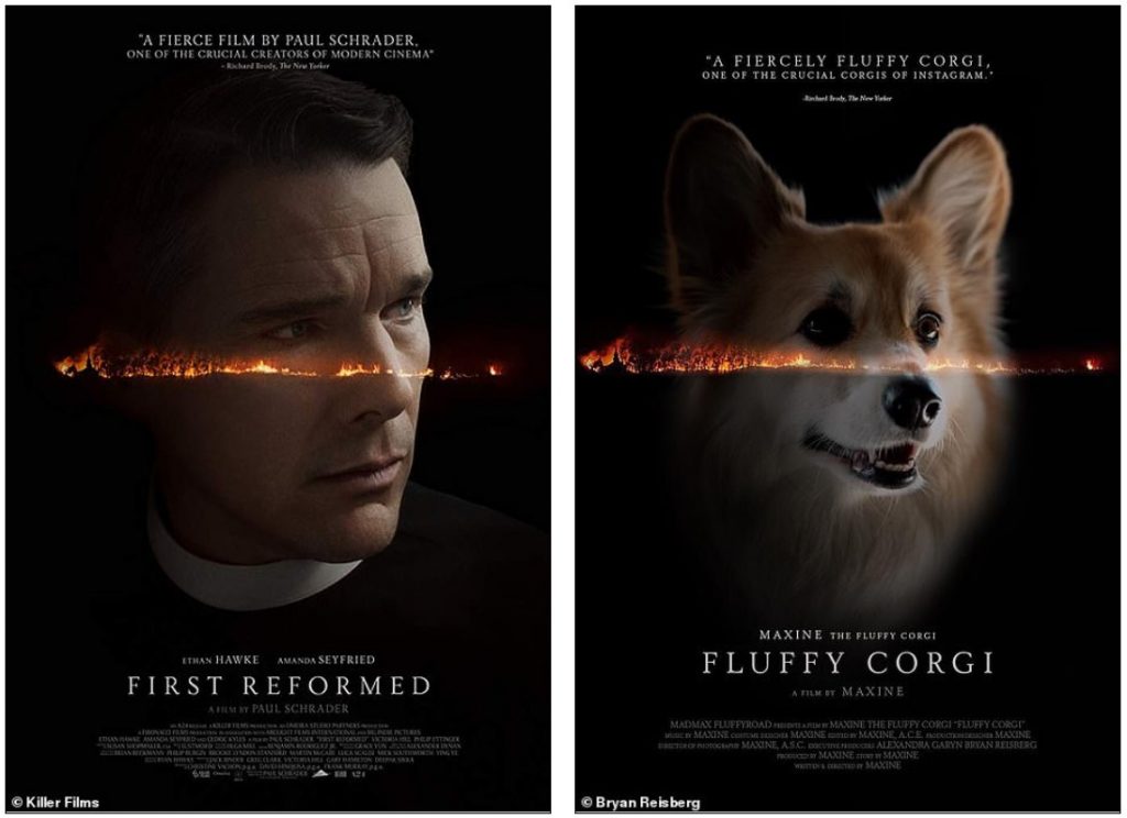 Who Ordered a Fluffy Corgi In Oscar Movie Posters?