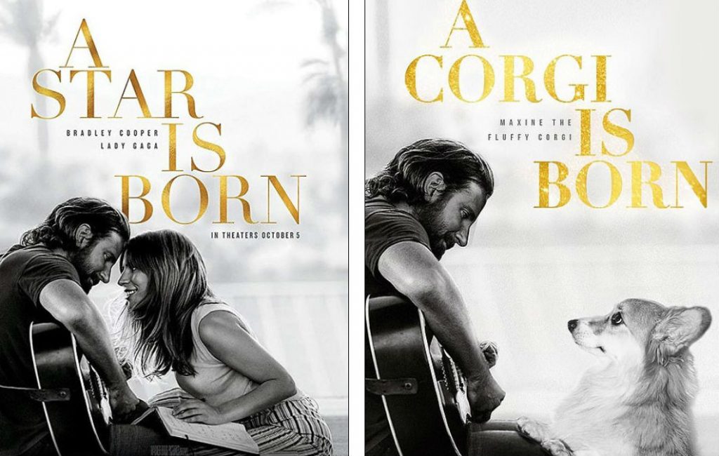 Who Ordered a Fluffy Corgi In Oscar Movie Posters?
