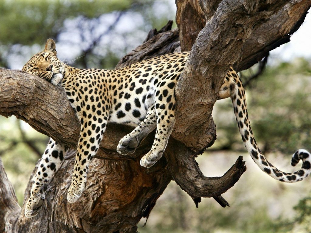 Signs That May Prove You’re Lazy