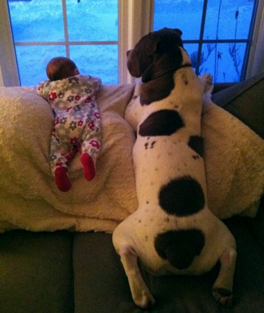 20+ Photos That Prove Every Kid Needs a Pet