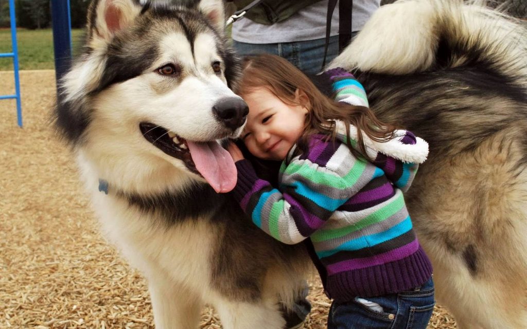 20+ Photos That Prove Every Kid Needs a Pet