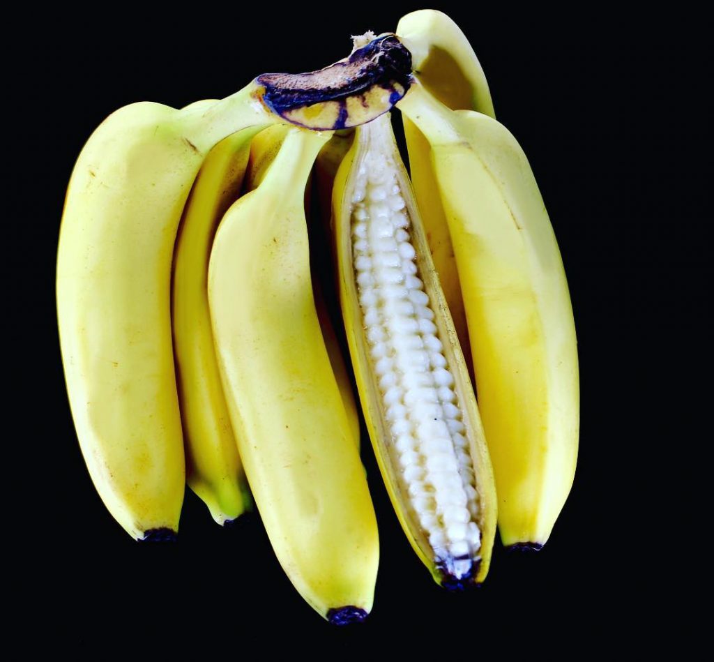 Daniele Barresi Carves Art Into Food And It’s Amazing