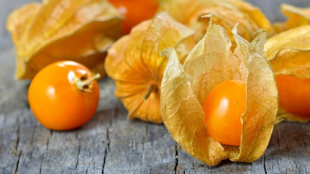 12 Most Unusual Edible Crops in the World