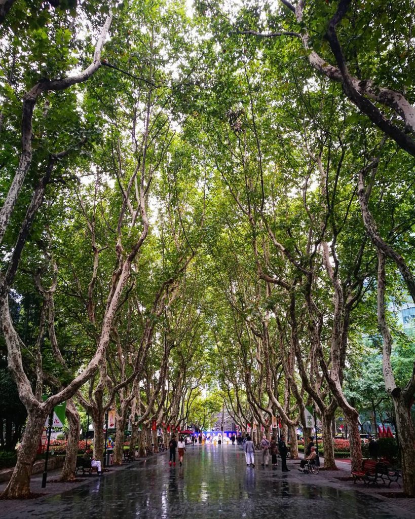 20 Perfectly Symmetrical Photos To Soothe Your Soul