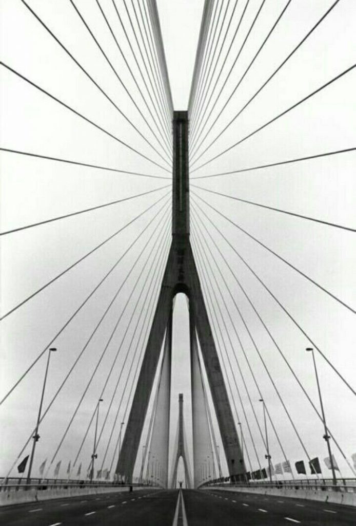 20 Perfectly Symmetrical Photos To Soothe Your Soul