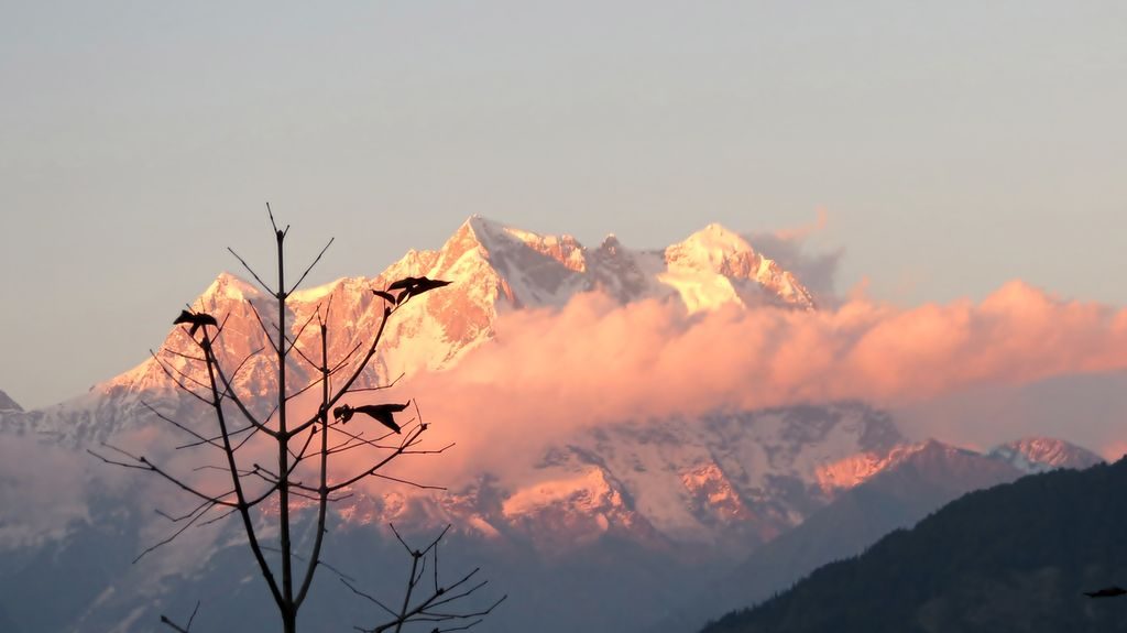 Chota Char Dham: 4 Most Sacred Places Of India