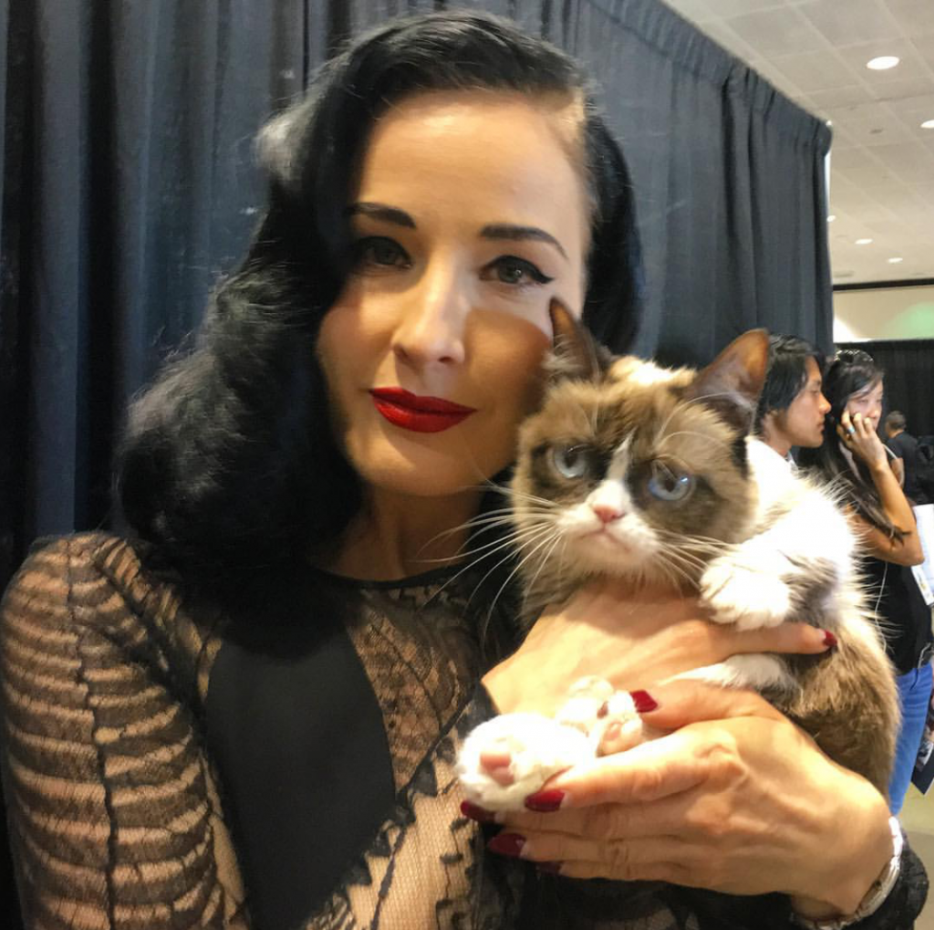 Legendary “Grumpy Cat” Died at the Age of 7