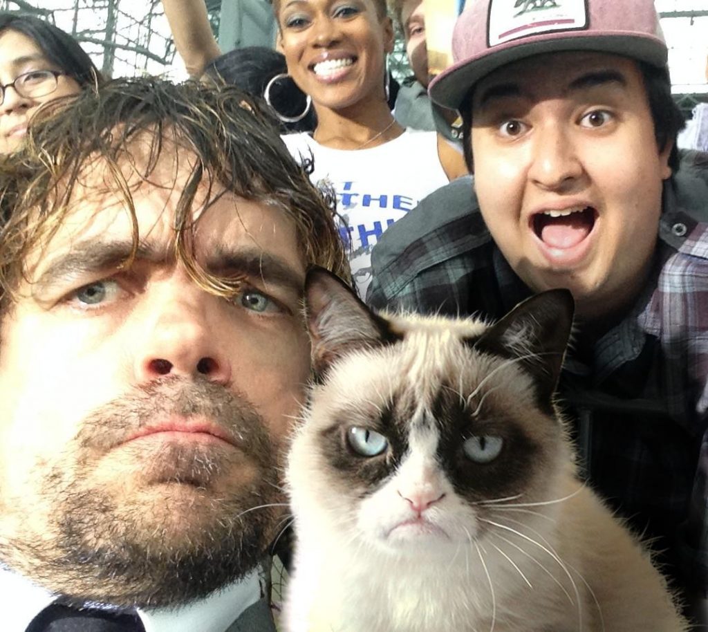 Legendary “Grumpy Cat” Died at the Age of 7