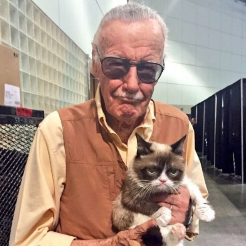 Legendary “Grumpy Cat” Died at the Age of 7
