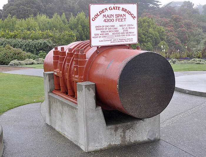 14 Incredibly Cool Pictures Of Unusual Objects Cut In Half