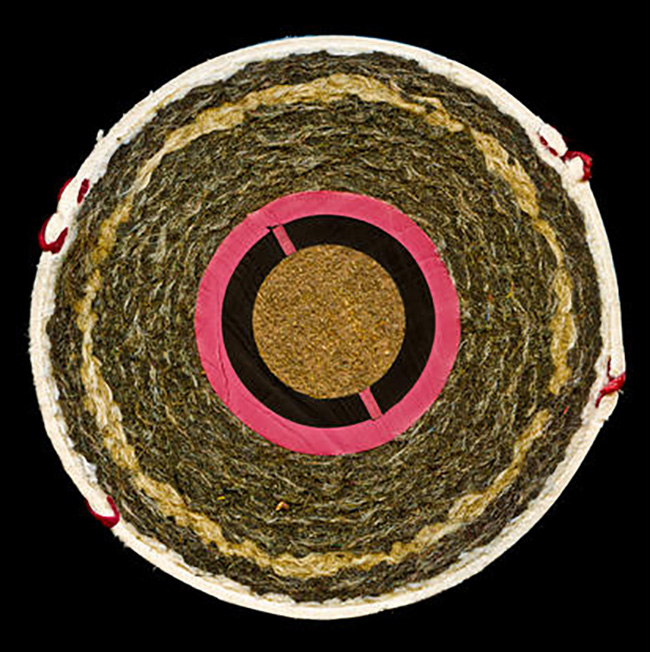 14 Incredibly Cool Pictures Of Unusual Objects Cut In Half