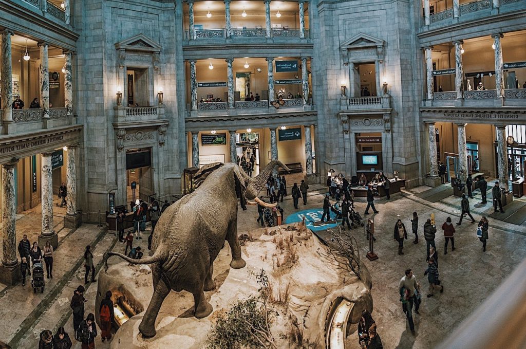 6 Best Natural History Museums In The World