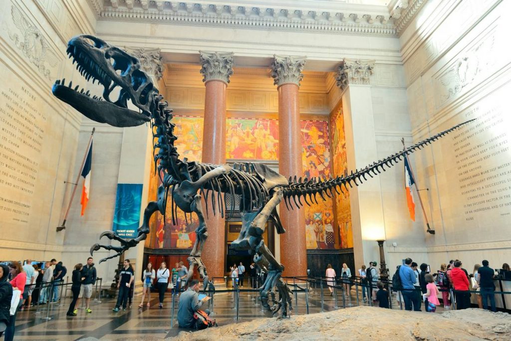 6 Best Natural History Museums In The World