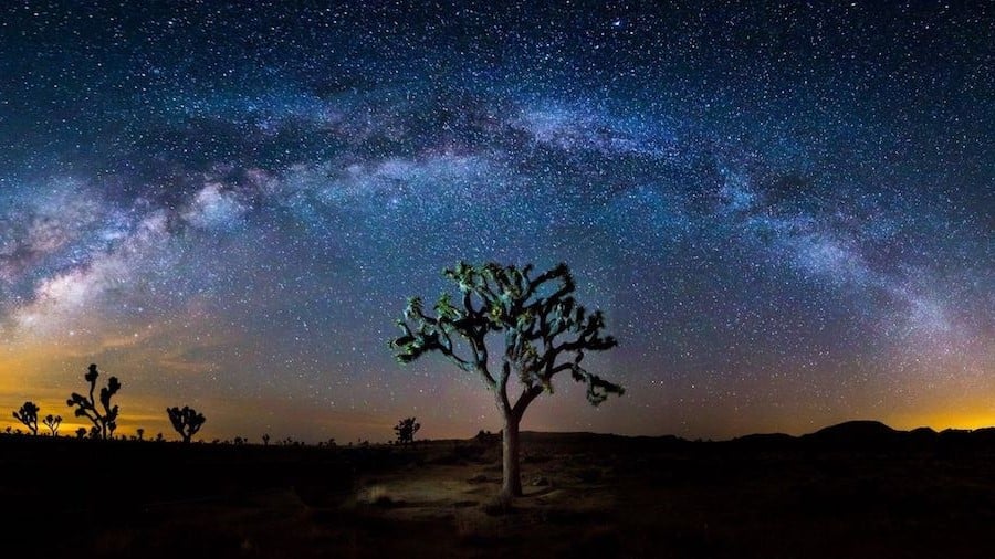 Joshua Tree | Contemplate Life at These 10 Stargazing Locations | Brain Berries