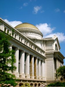 National Museum of Natural History (Washington DC) #2 | 6 Best Natural History Museums In The World | Brain Berries