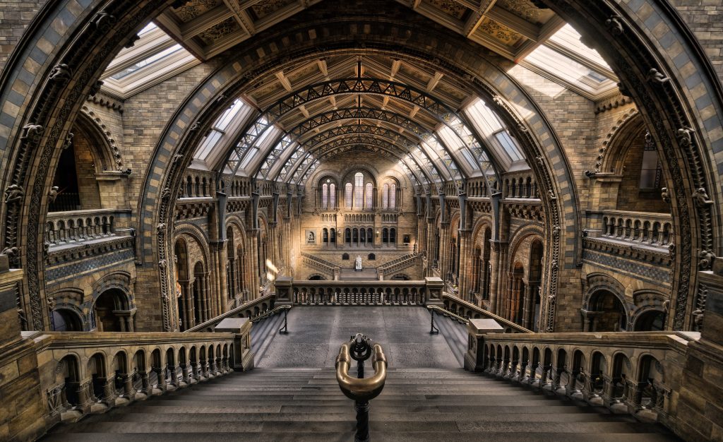 6 Best Natural History Museums In The World