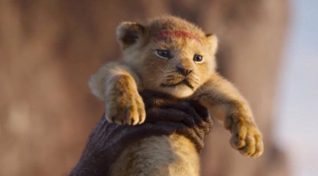 ≡ Disney's Live-Action Simba Was Based on the Cutest Lion Cub Ever ...