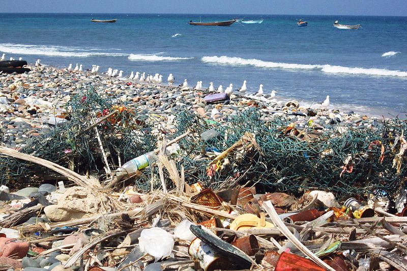 Photographer Reveals Shocking Pictures Of The Caribbean Full Of Debris, Plastic, And Styrofoam #9 | ZestRadar