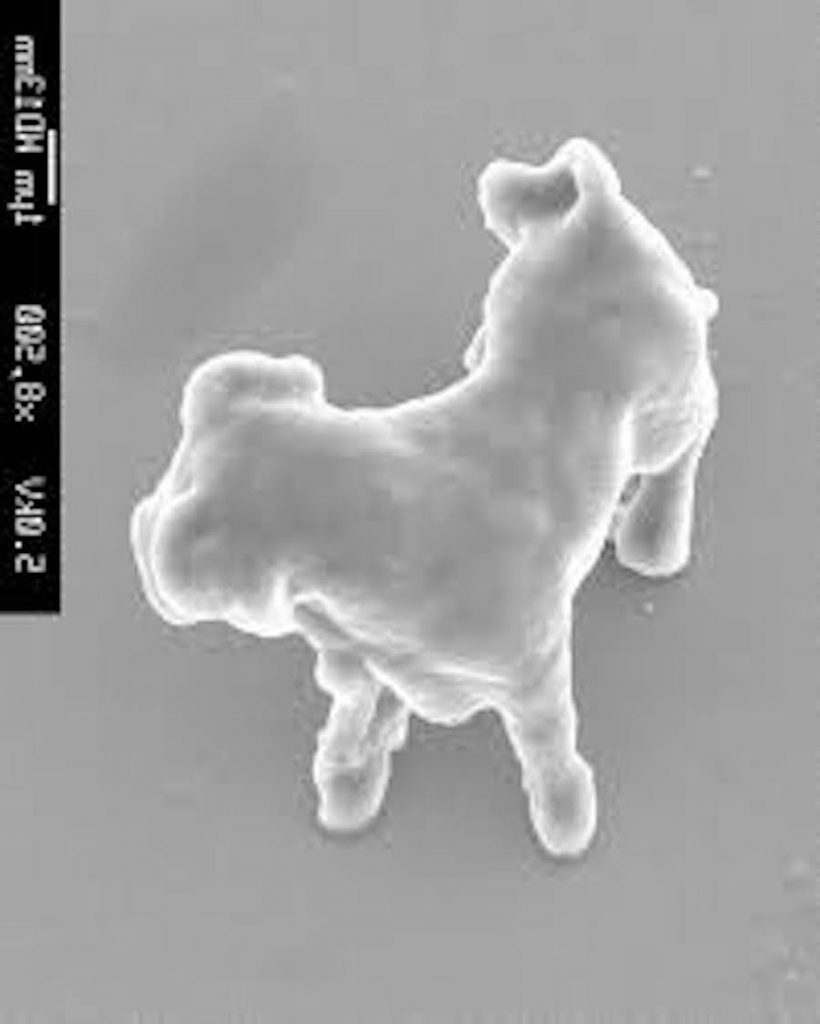 Satoshi Kawata | 8 Astoundingly Tiny Art Pieces | BrainBerries
