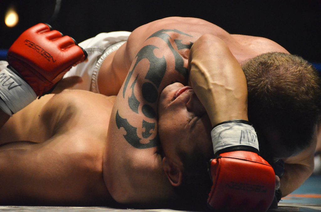 Vale Tudo | The Deadliest Martial Arts Disciplines | Brain Berries