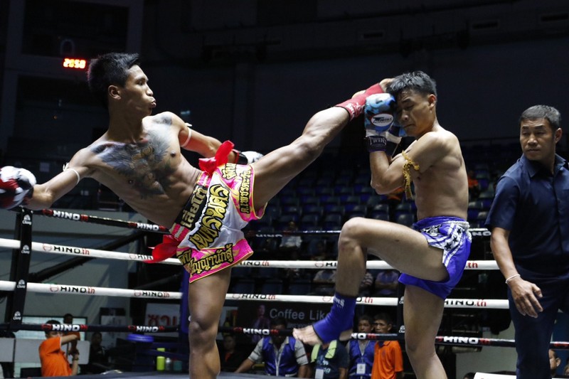 Muay Thai | The Deadliest Martial Arts Disciplines | Brain Berries