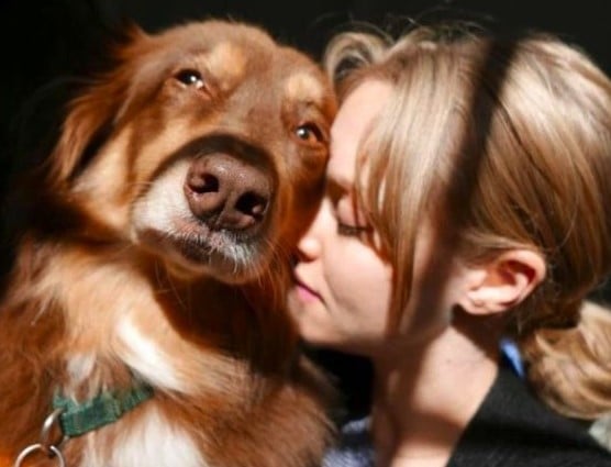 What’s The Perfect Pet For You, Based On Your Zodiac Sign?