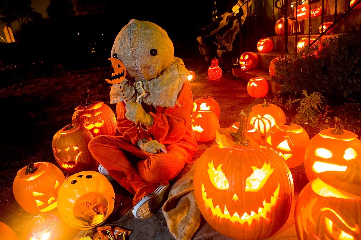 Кошелек или смерть | 10 лучших фильмов для Хэллоуина | Brain Berries