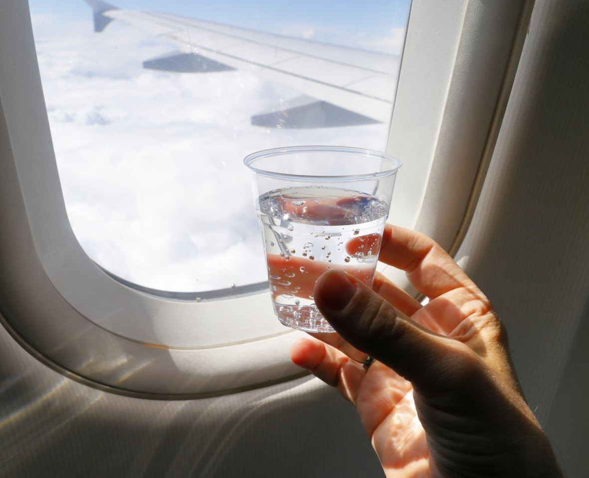 Пить газировку | 10 вещей, которые лучше не делать на борту | Brain Berries
