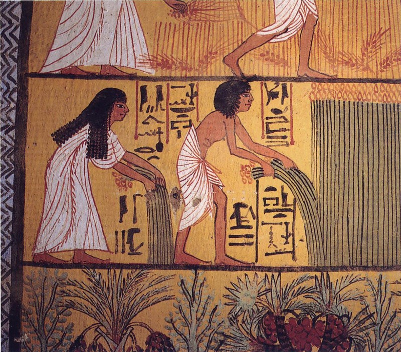 They Drank Beer Regularly | 8 Amazing Facts About Ancient Egypt | Brain Berries
