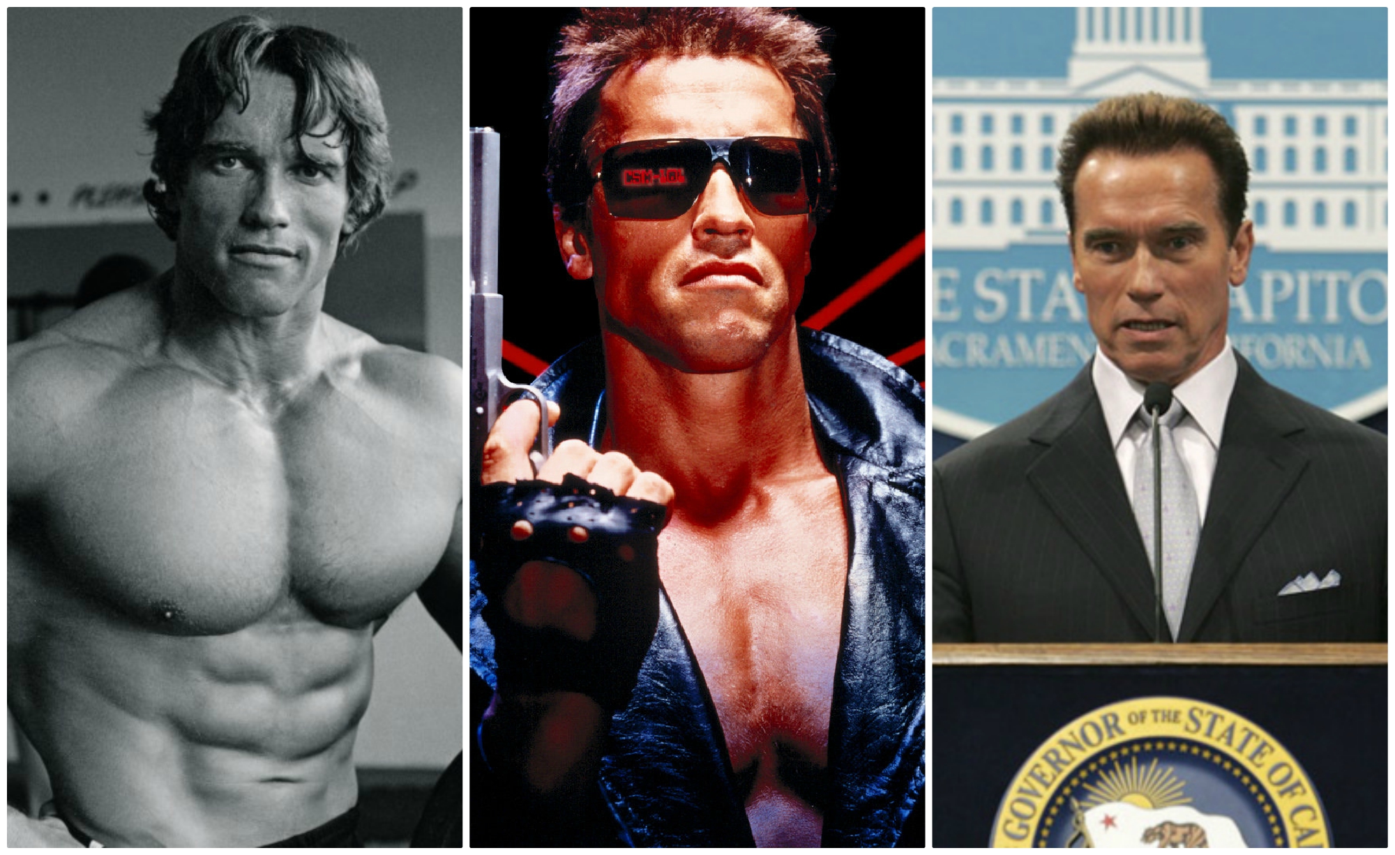 Arnold Schwarzenegger | 8 Actors Earning Millions For Playing Themselves | Brain Berries