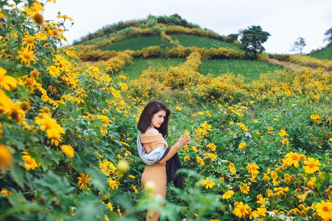 Đà Lạt | 6 địa điểm du lịch ở Việt Nam bạn không thể “bỏ lỡ” vào mùa thu | Brain Berries